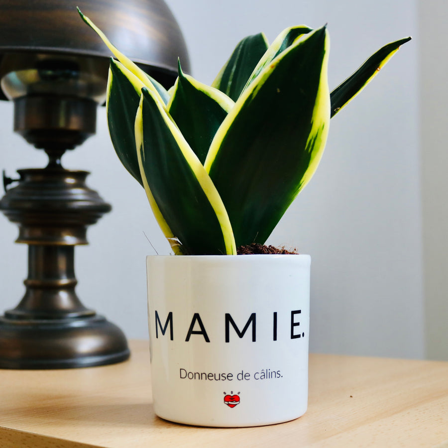 pot de fleurs mamie