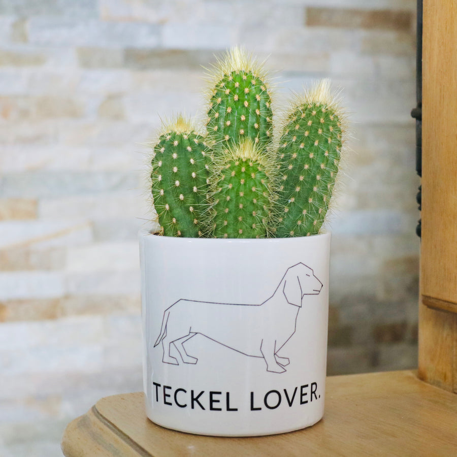 sanoa pots - Teckel lover