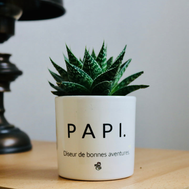 pot de fleurs papi