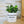 Charger l&#39;image dans la galerie, pot de fleurs personnalisé sa première plante
