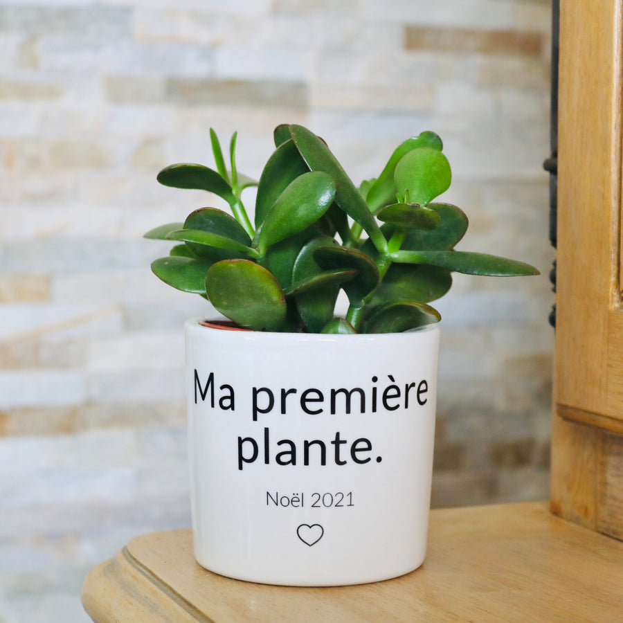 pot de fleurs personnalisé sa première plante