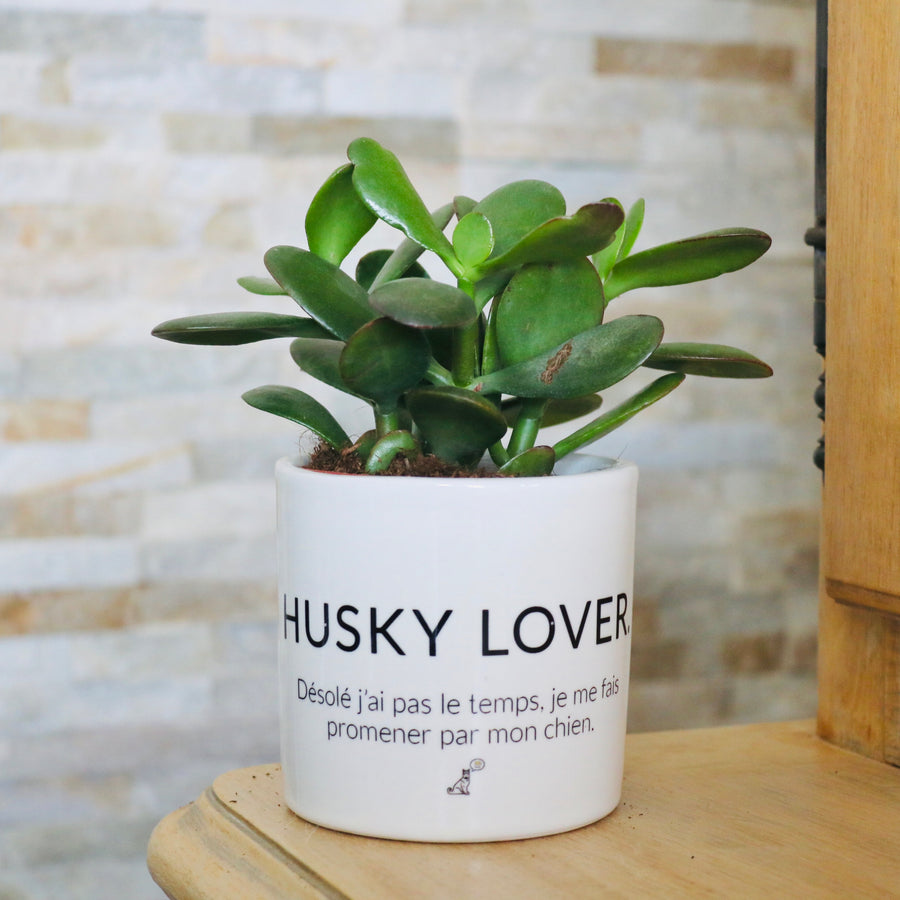 idée cadeau fan husky