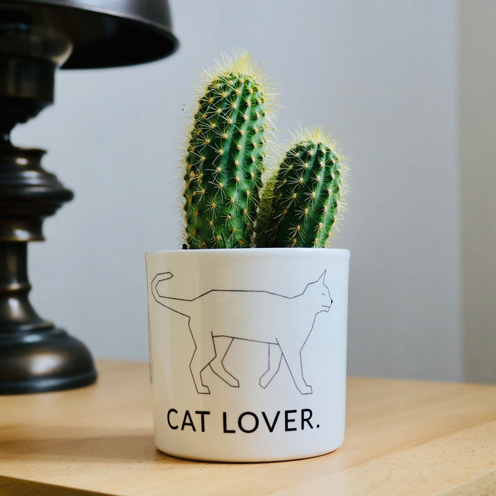 pot de fleurs personnalisé design de chat