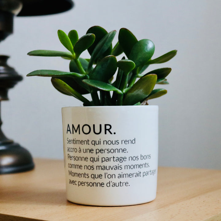 Pot de fleurs personnalisé définition de l'amour