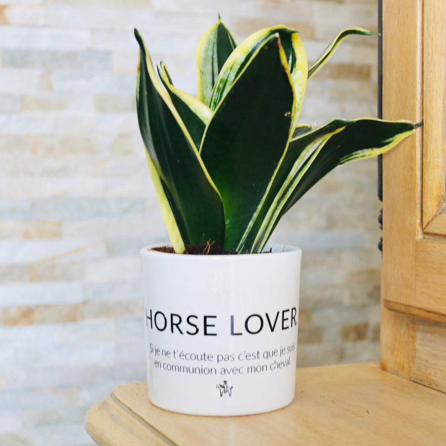pot de fleurs personnalisé horse lover