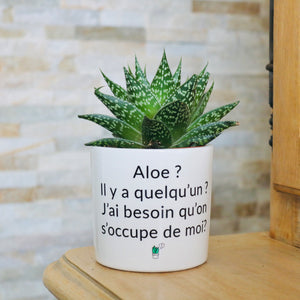Pot de fleurs personnalisé Aloe ? Il y a quelqu'un ?