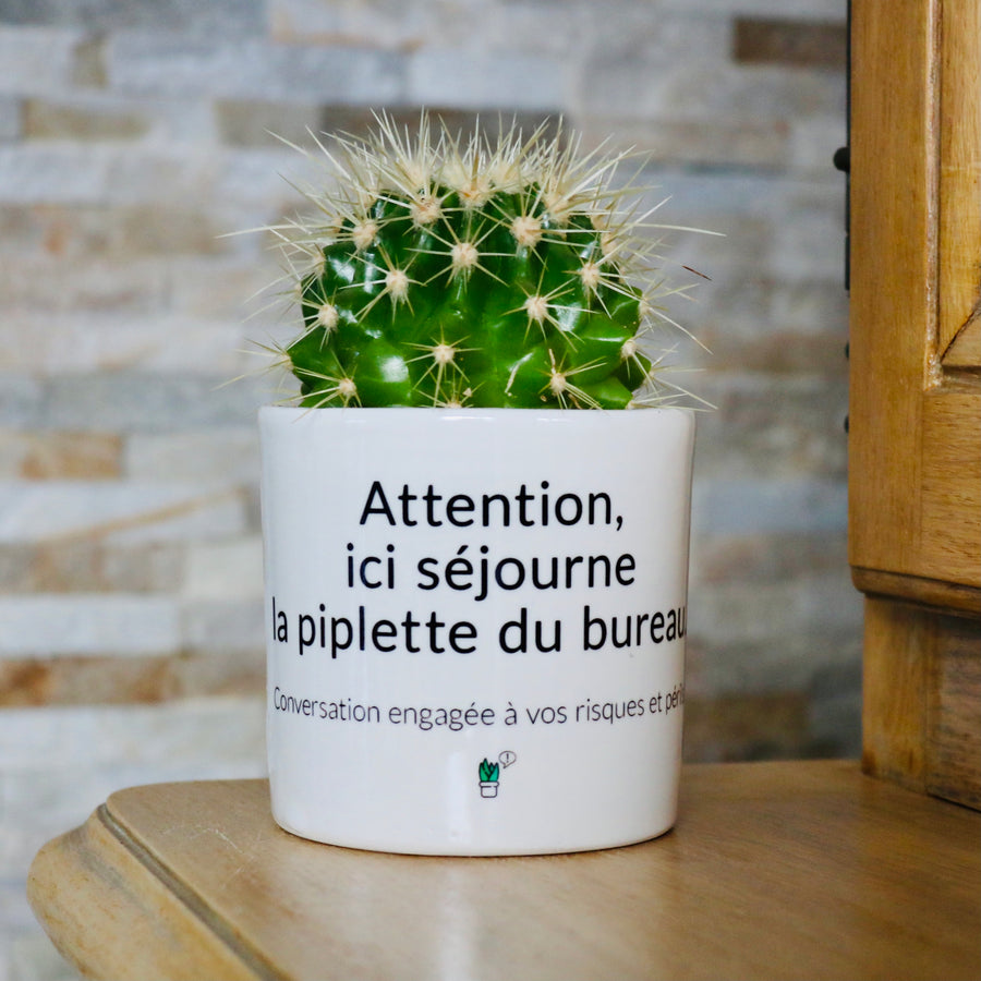 Pot de fleurs - Ici séjourne la piplette du bureau