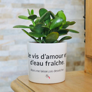 pot de fleurs personnalisé vivre d'amour et d'eau fraiche