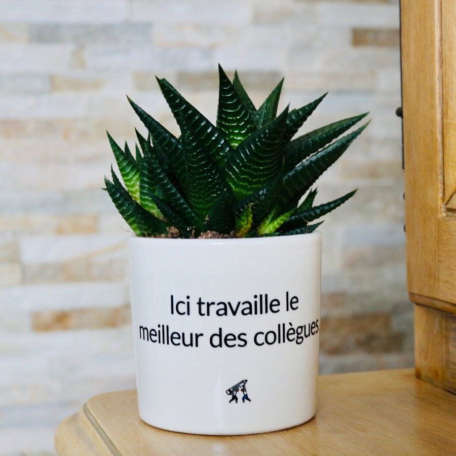 sanoa pots - Ici travaille le meilleur des collègues