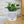 Charger l&#39;image dans la galerie, Pot de fleurs - Tu es comme ce pot. Addictif.
