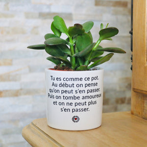 Pot de fleurs - Tu es comme ce pot. Addictif.