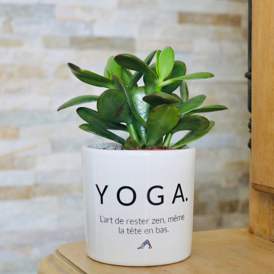 pot de fleurs personnalisé pour un fan de yoga