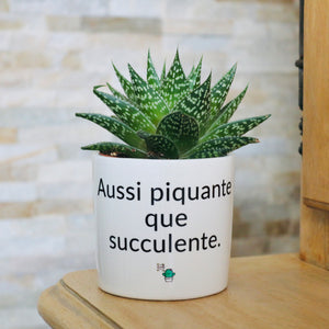cadeau original