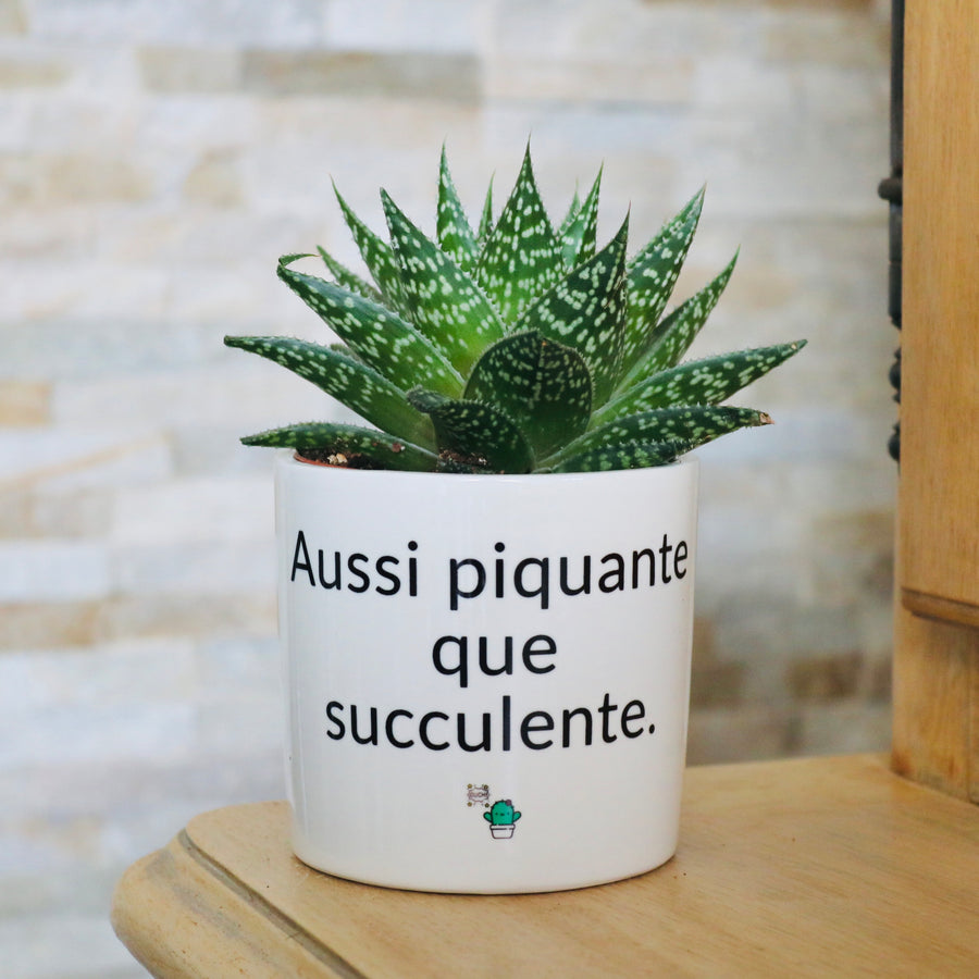 cadeau original