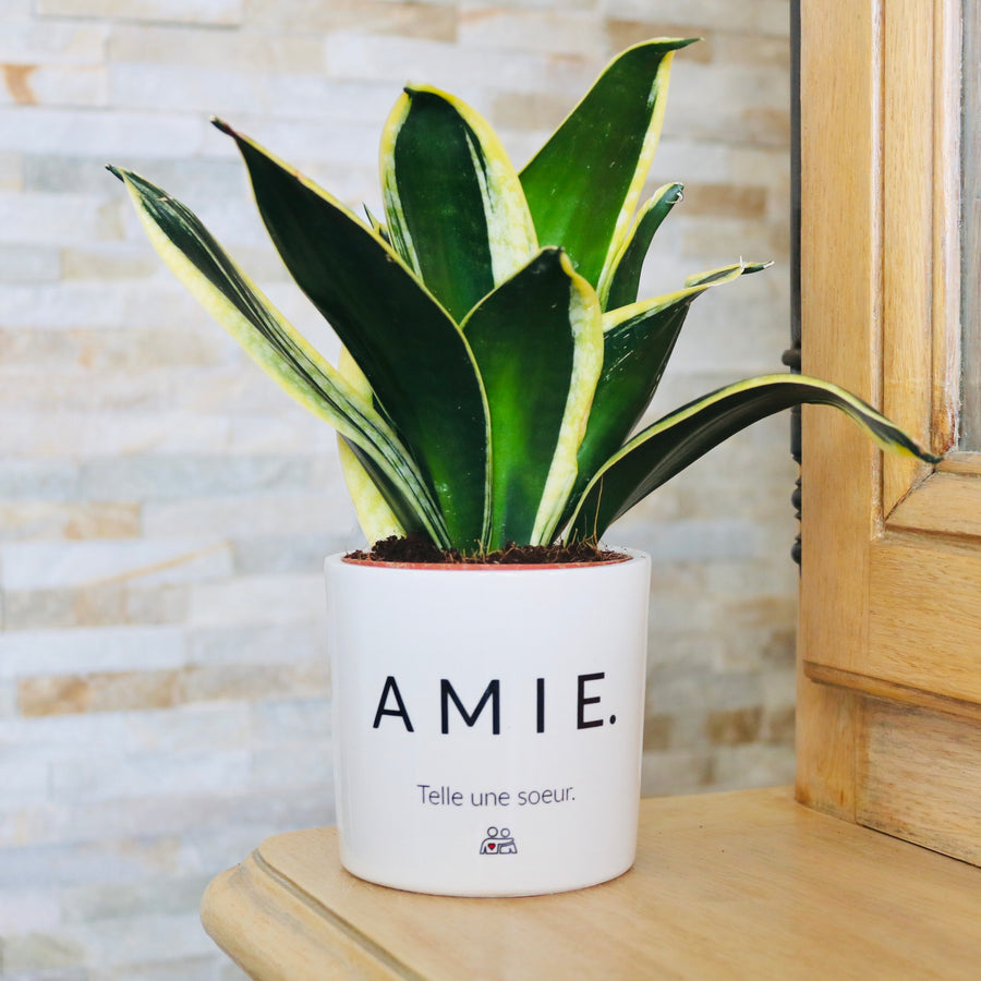 pot de fleurs personnalisé amie