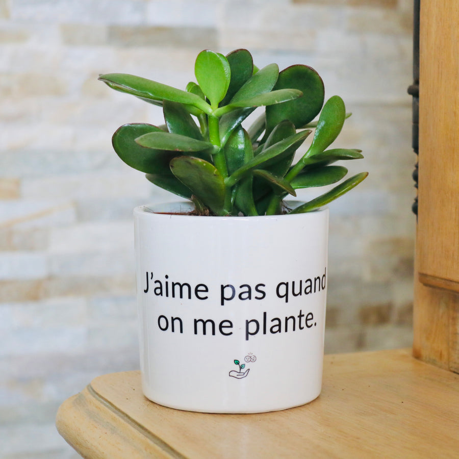 Pot de fleurs J'aime pas quand on me plante