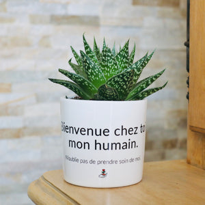 Pot de fleurs personnalisé Bienvenue chez toi mon humain