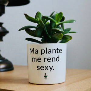 pot de fleurs ma plante me rend sexy