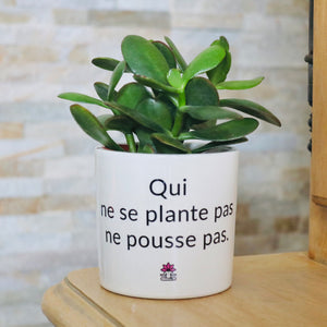 pot de fleurs personnalisé qui ne se plante pas ne pousse pas