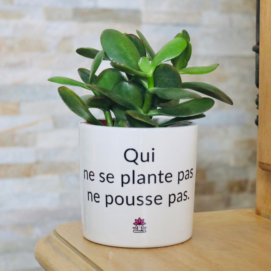 pot de fleurs personnalisé qui ne se plante pas ne pousse pas