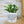 Charger l&#39;image dans la galerie, pot de fleurs personnalisé c&#39;est pas que j&#39;aime pas les gens mais je préfère les plantes

