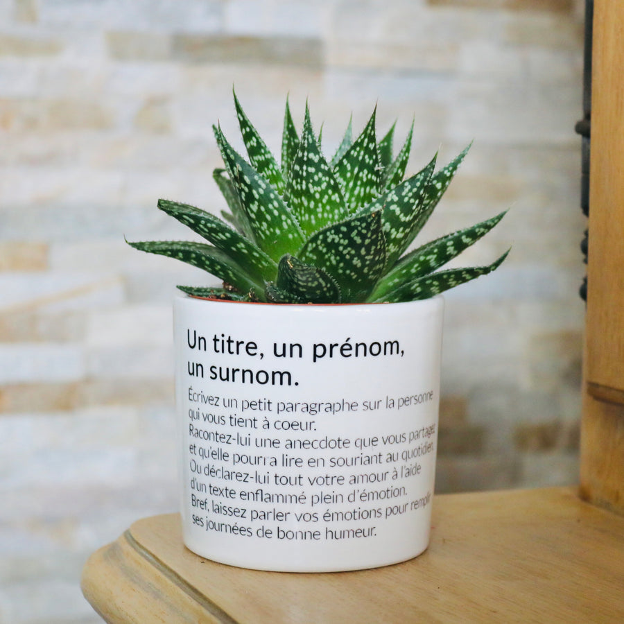 pot de fleurs personnalisé un titre, un prénom, un surnom