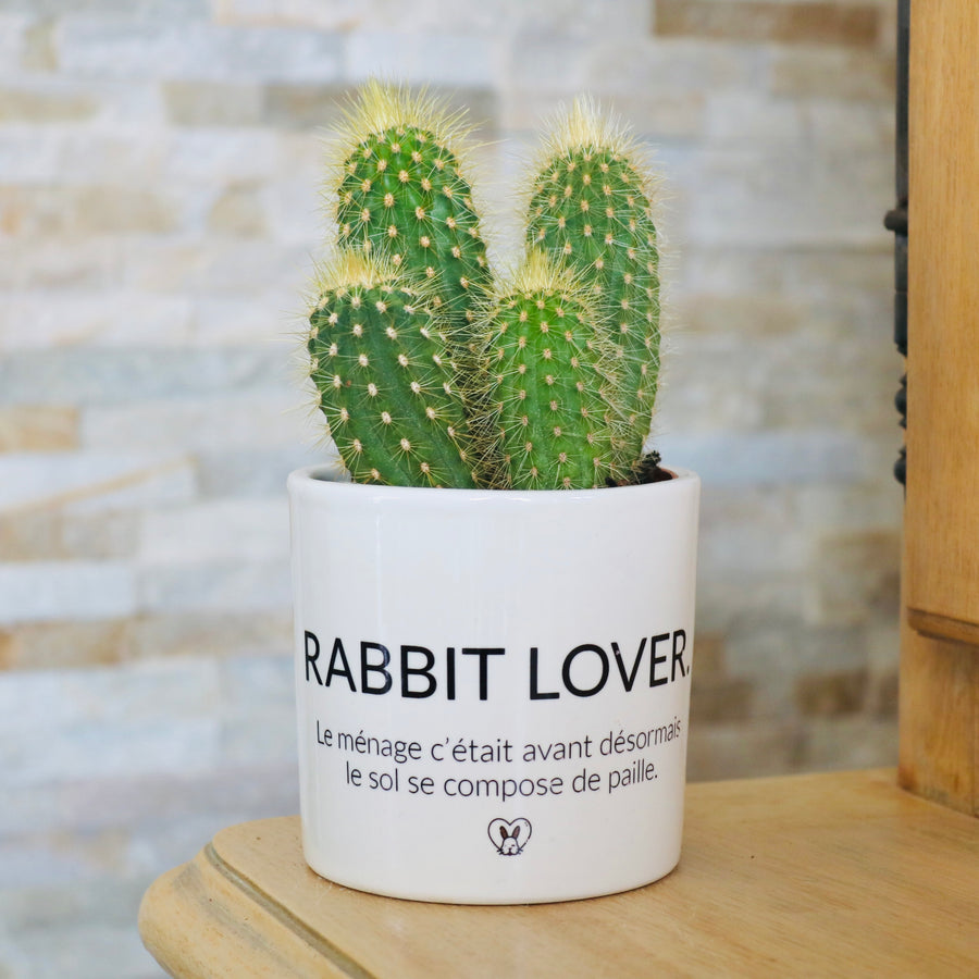 idée cadeau fan de lapin