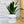 Charger l&#39;image dans la galerie, Pot de fleurs - Rabbit Lover.

