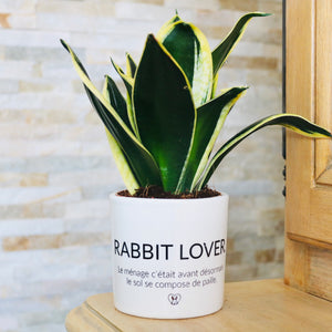 Pot de fleurs - Rabbit Lover.