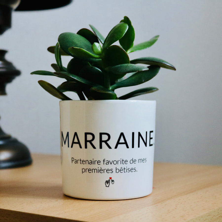 pot de fleurs marraine