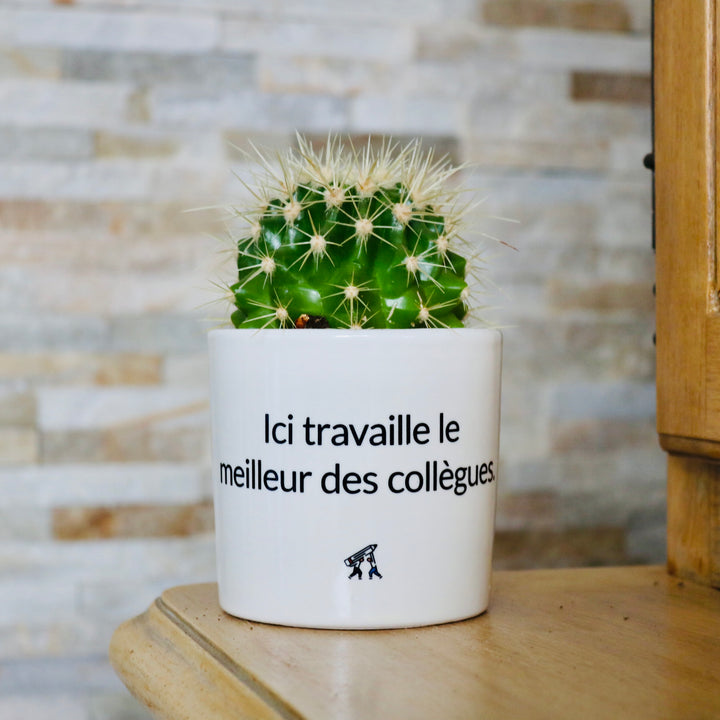 sanoa pots - Ici travaille le meilleur des collègues