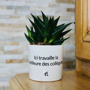 sanoa pots - Ici travaille la meilleure des collègues