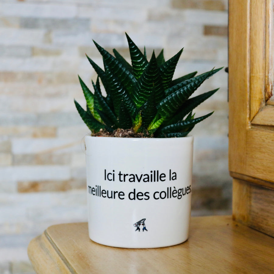 sanoa pots - Ici travaille la meilleure des collègues