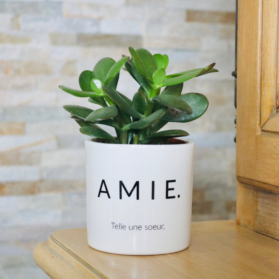pot de fleurs personnalisé amie