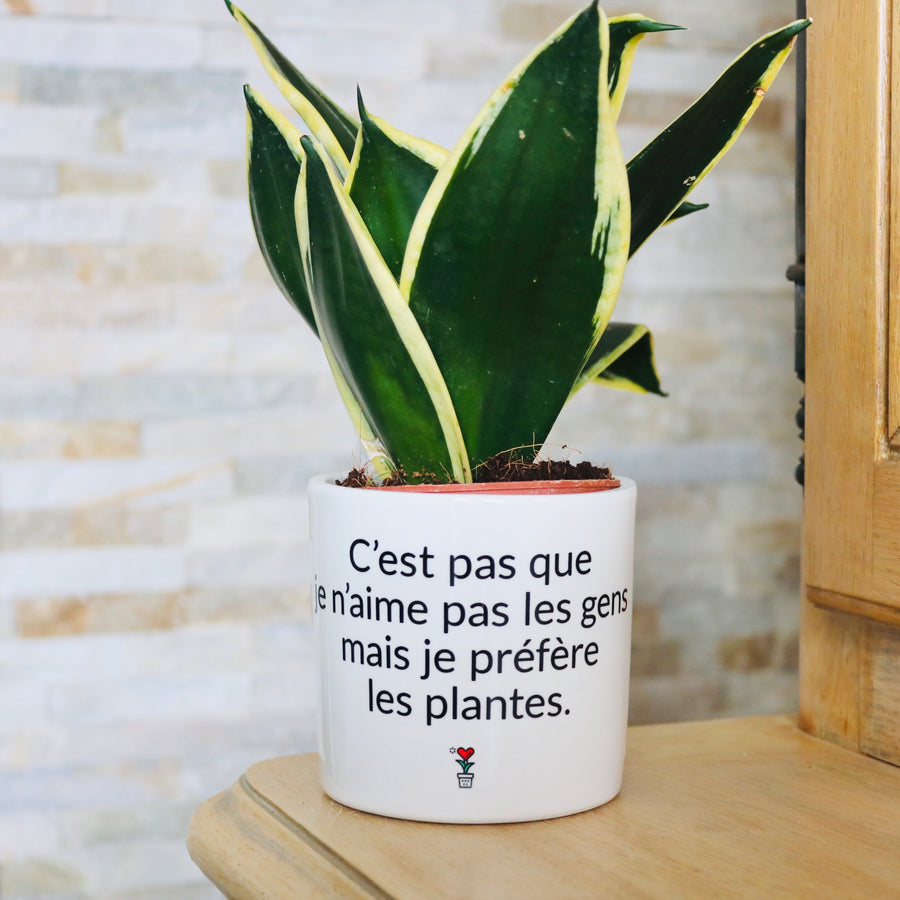 pot de fleurs personnalisé c'est pas que j'aime pas les gens mais je préfère les plantes