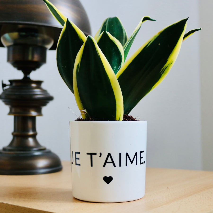 sanoa pots - je t'aime