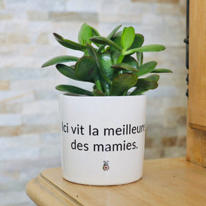 pot de fleurs personnalisé ici vit la meilleur des mamies