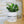 Charger l&#39;image dans la galerie, pot de fleurs personnalisé rabbit lover
