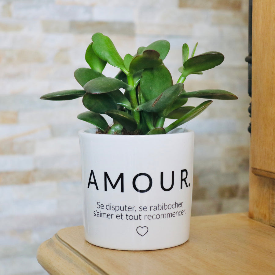 pot de fleurs personnalisé amour
