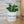 Charger l&#39;image dans la galerie, sanoa pots - Teckel lover
