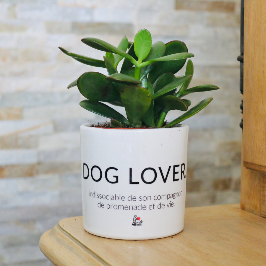 cadeau original fan de chiens