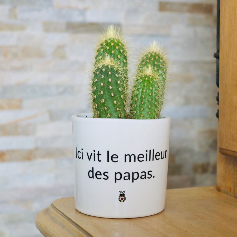 cadeau original papa