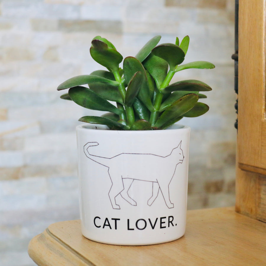 idée cadeau pour un fan de chat