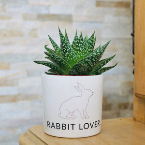 pot de fleurs personnalisé design lapin