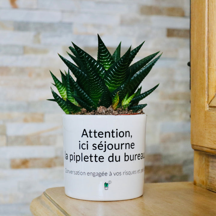 sanoa pots - Attention, ici séjourne la piplette du bureau