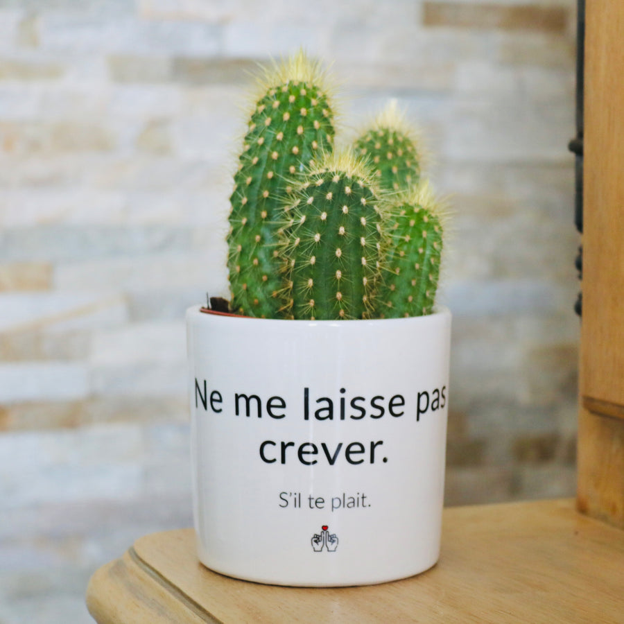 idée cadeau