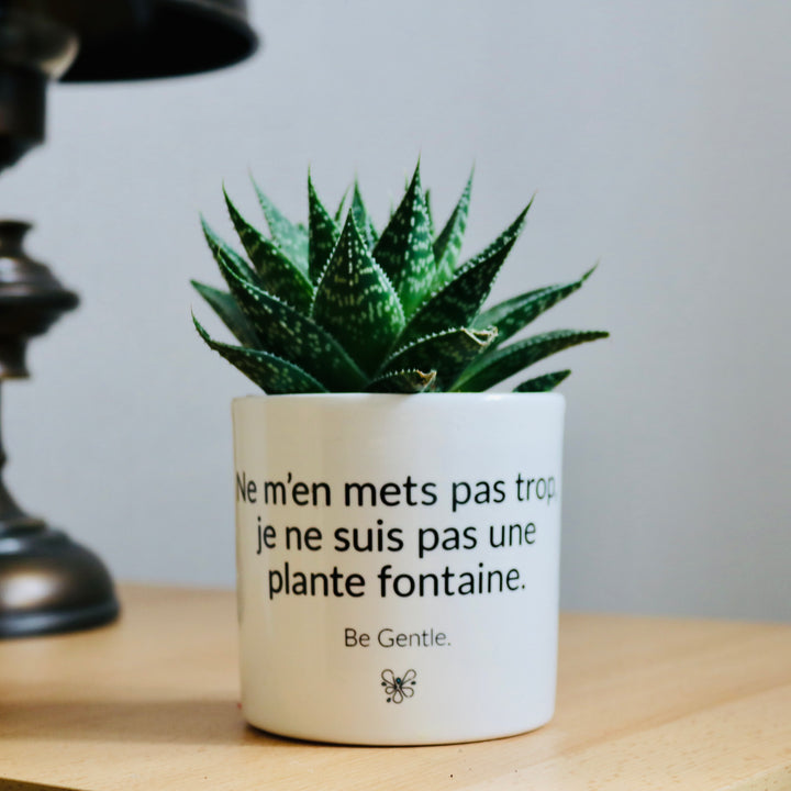 pot de fleurs pas une femme fontaine