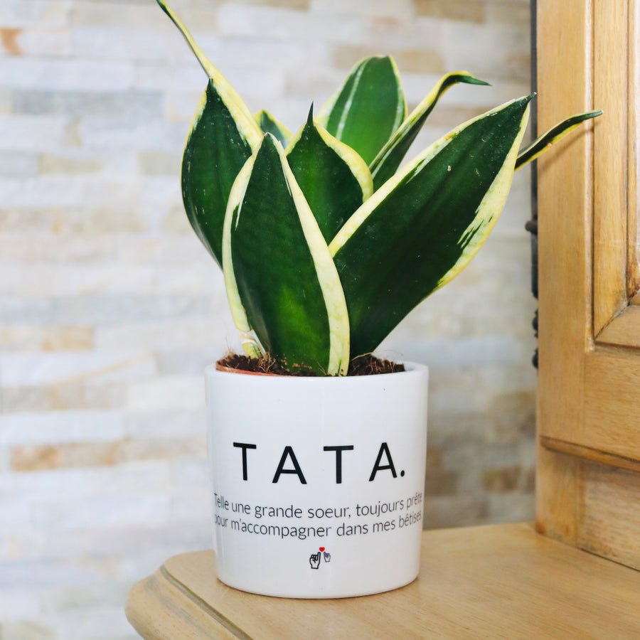 sanoa pots - tata