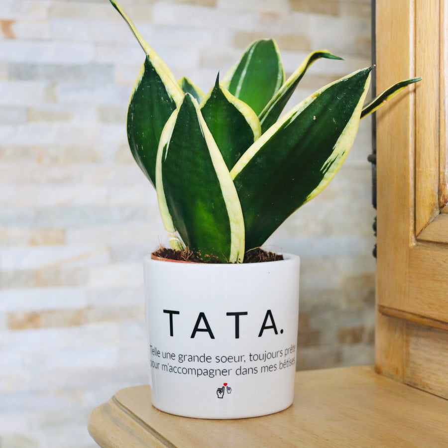 Pot de fleurs - Tata.