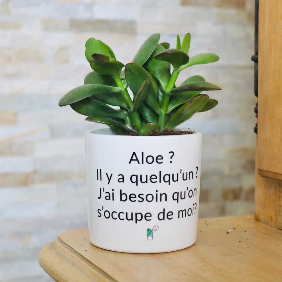 idée cadeau
